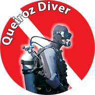 Logo Queiroz Diver